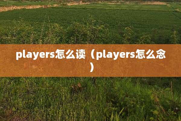players怎么读（players怎么念）