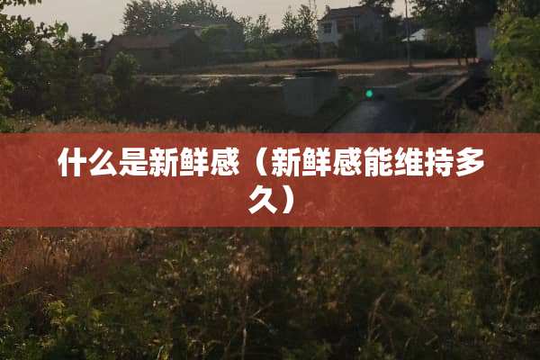 什么是新鲜感（新鲜感能维持多久）