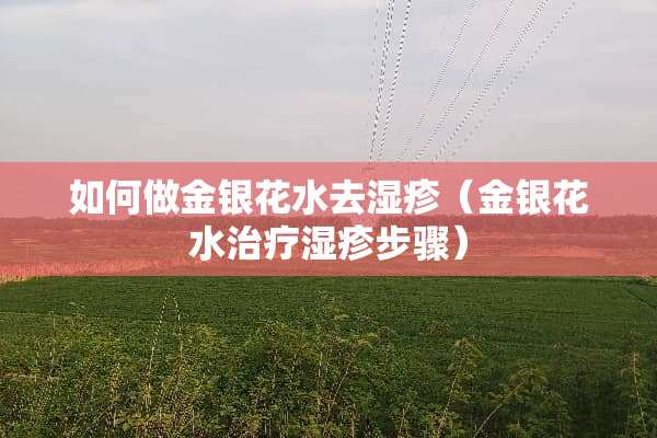 如何做金银花水去湿疹（金银花水治疗湿疹步骤）