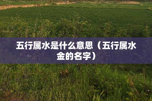 五行属水是什么意思（五行属水金的名字）
