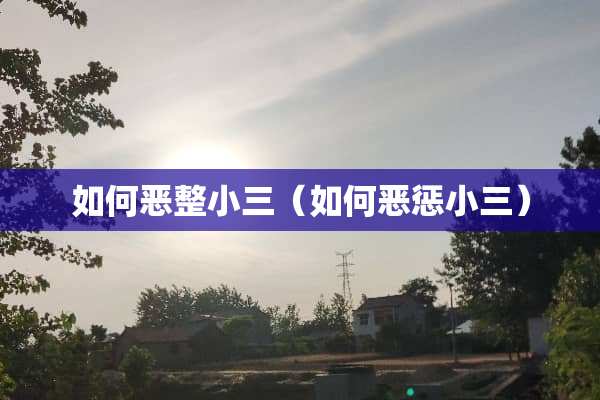 如何恶整小三（如何恶惩小三）