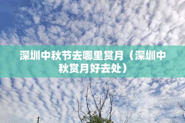 深圳中秋节去哪里赏月（深圳中秋赏月好去处）