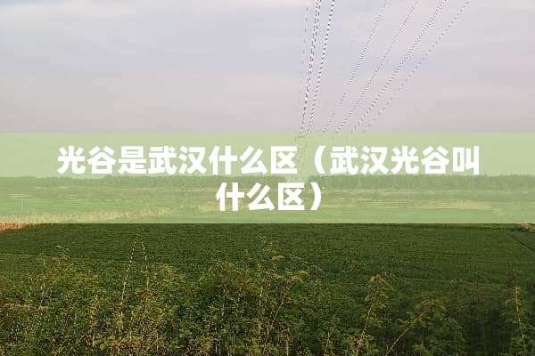 光谷是武汉什么区（武汉光谷叫什么区）
