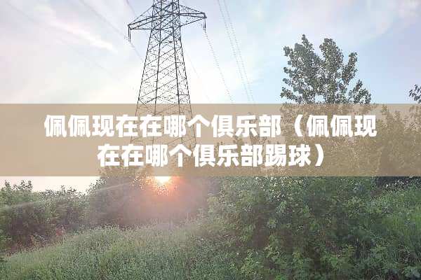 佩佩现在在哪个俱乐部（佩佩现在在哪个俱乐部踢球）