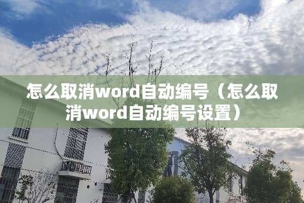 怎么取消word自动编号（怎么取消word自动编号设置）