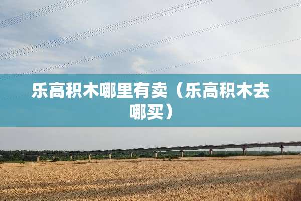 乐高积木哪里有卖（乐高积木去哪买）