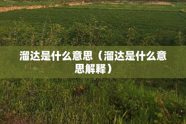 溜达是什么意思（溜达是什么意思解释）