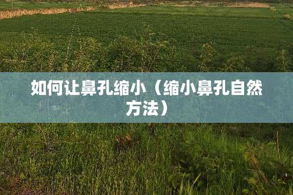 如何让鼻孔缩小（缩小鼻孔自然方法）