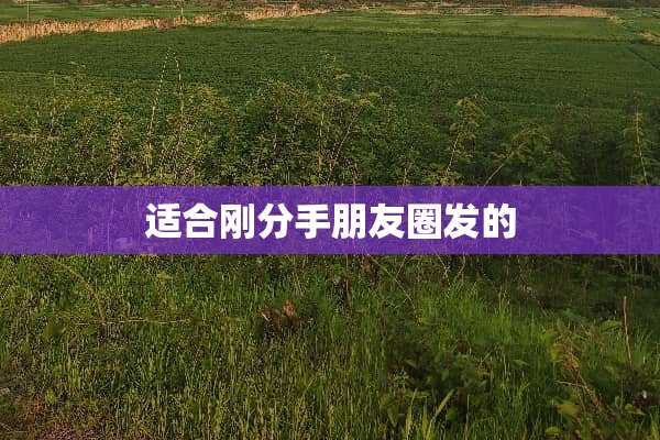 适合刚分手朋友圈发的