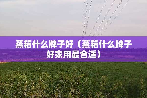 蒸箱什么牌子好（蒸箱什么牌子好家用最合适）