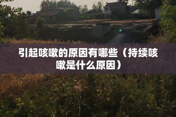 引起咳嗽的原因有哪些（持续咳嗽是什么原因）