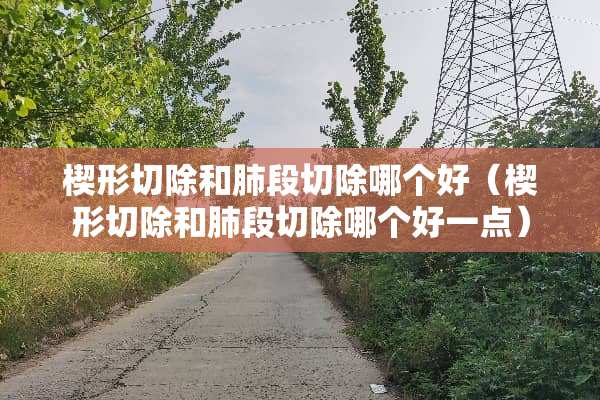 楔形切除和肺段切除哪个好（楔形切除和肺段切除哪个好一点）