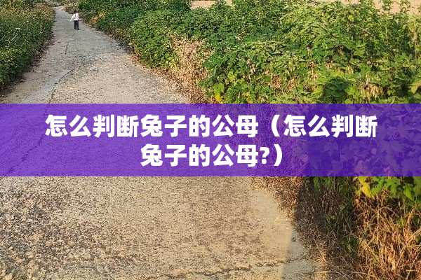 怎么判断兔子的公母（怎么判断兔子的公母?）