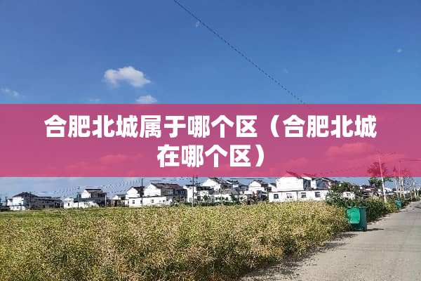 合肥北城属于哪个区（合肥北城在哪个区）
