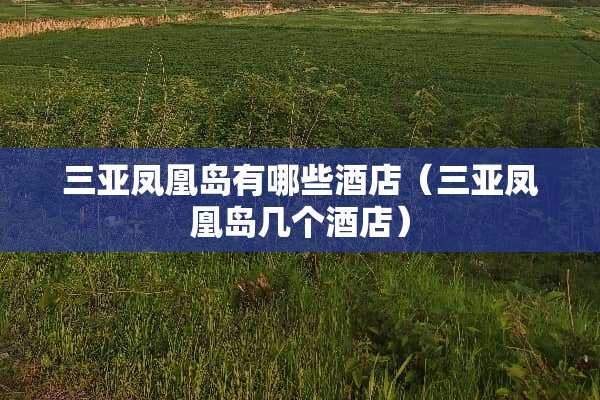三亚凤凰岛有哪些酒店（三亚凤凰岛几个酒店）