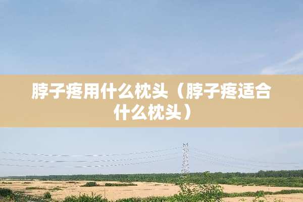 脖子疼用什么枕头（脖子疼适合什么枕头）