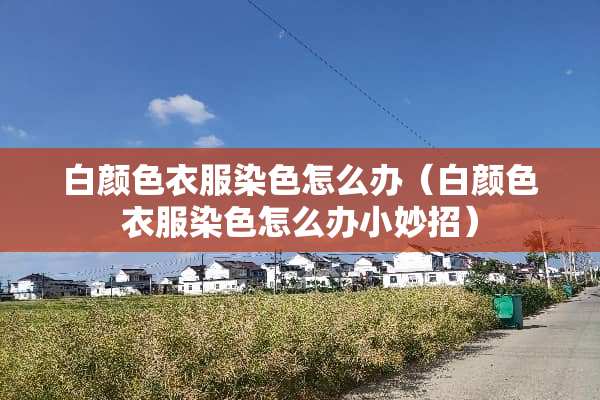 白颜色衣服染色怎么办（白颜色衣服染色怎么办小妙招）