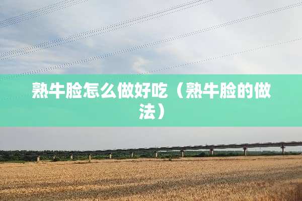 熟牛脸怎么做好吃（熟牛脸的做法）