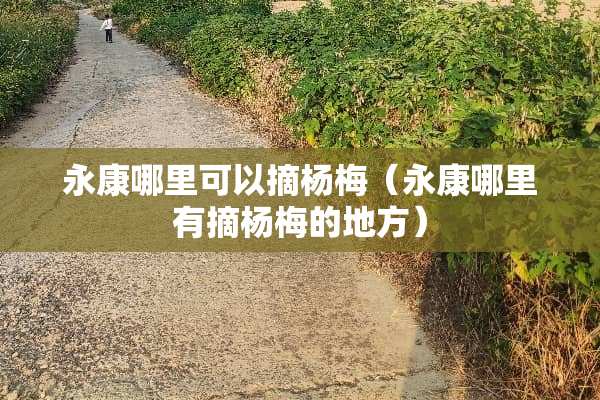 永康哪里可以摘杨梅（永康哪里有摘杨梅的地方）