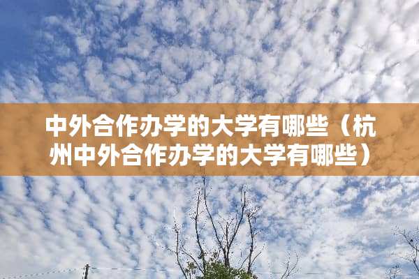 中外合作办学的大学有哪些（杭州中外合作办学的大学有哪些）