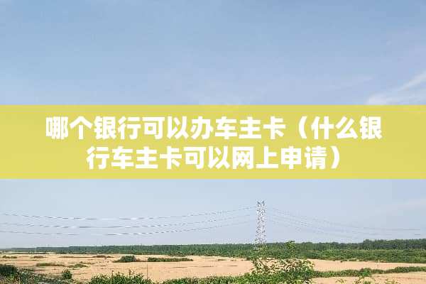 哪个银行可以办车主卡（什么银行车主卡可以网上申请）
