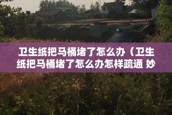 卫生纸把马桶堵了怎么办（卫生纸把马桶堵了怎么办怎样疏通 妙招）