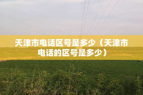天津市电话区号是多少（天津市电话的区号是多少）