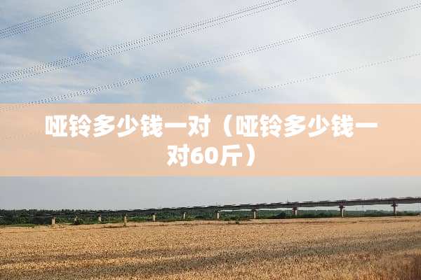 哑铃多少钱一对（哑铃多少钱一对60斤）