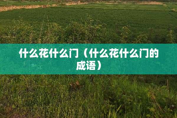 什么花什么门（什么花什么门的成语）