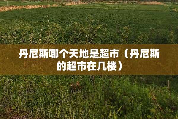 丹尼斯哪个天地是超市（丹尼斯的超市在几楼）
