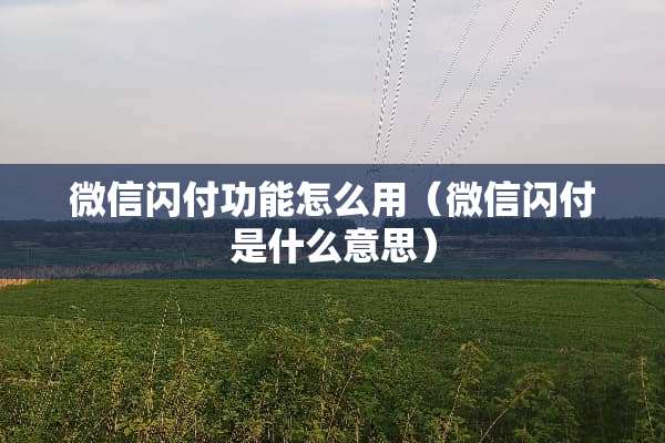 微信闪付功能怎么用（微信闪付是什么意思）