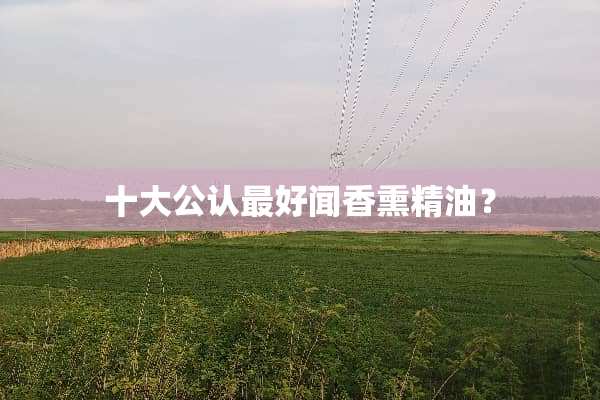 十大公认最好闻香熏精油？