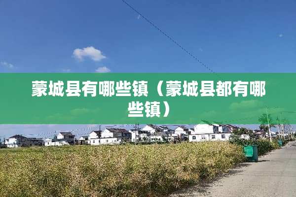 蒙城县有哪些镇（蒙城县都有哪些镇）