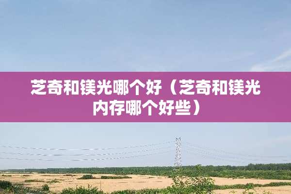 芝奇和镁光哪个好（芝奇和镁光内存哪个好些）
