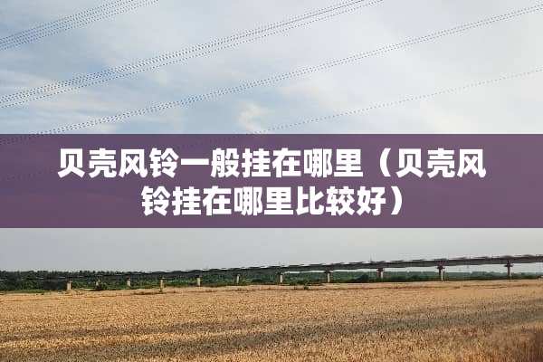 贝壳风铃一般挂在哪里（贝壳风铃挂在哪里比较好）