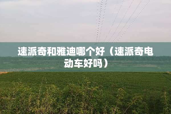速派奇和雅迪哪个好（速派奇电动车好吗）