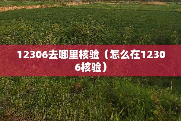 12306去哪里核验（怎么在12306核验）
