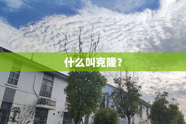 什么叫**？