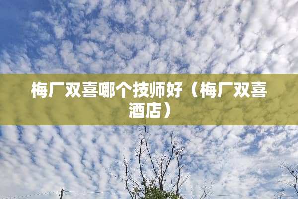 梅厂双喜哪个**好（梅厂双喜酒店）