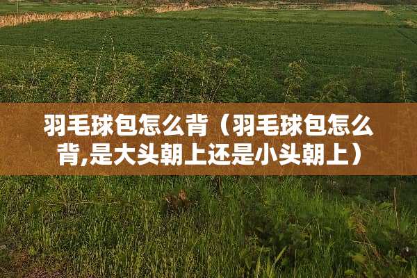 羽毛球包怎么背（羽毛球包怎么背,是大头朝上还是小头朝上）