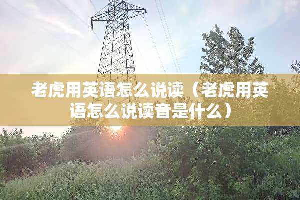 老虎用英语怎么说读（老虎用英语怎么说读音是什么）