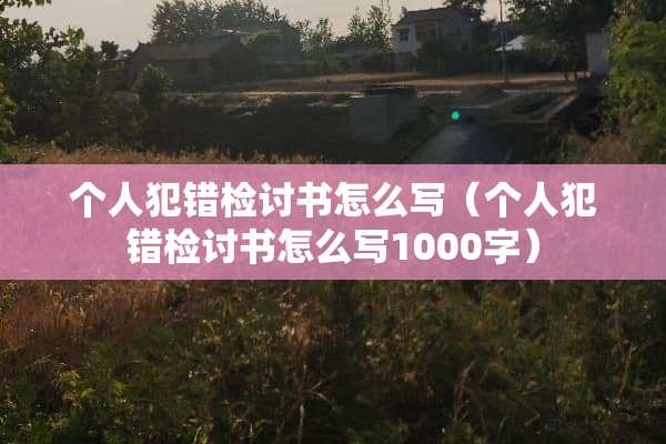 个人犯错检讨书怎么写（个人犯错检讨书怎么写1000字）