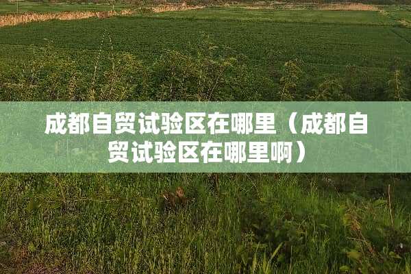 成都自贸试验区在哪里（成都自贸试验区在哪里啊）