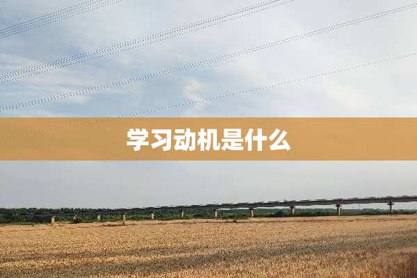 学习动机是什么