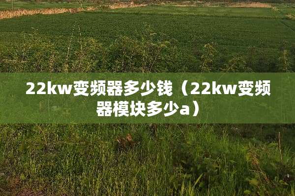 22kw变频器多少钱（22kw变频器模块多少a）