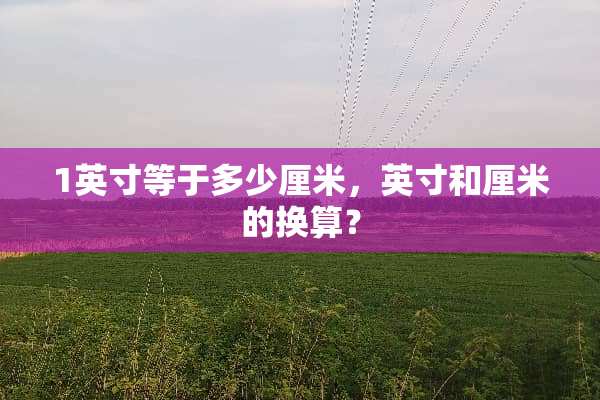 1英寸等于多少厘米，英寸和厘米的换算？