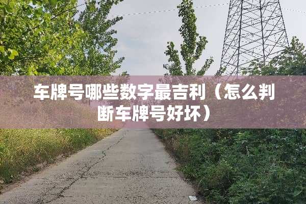 ***哪些数字最吉利（怎么判断***好坏）