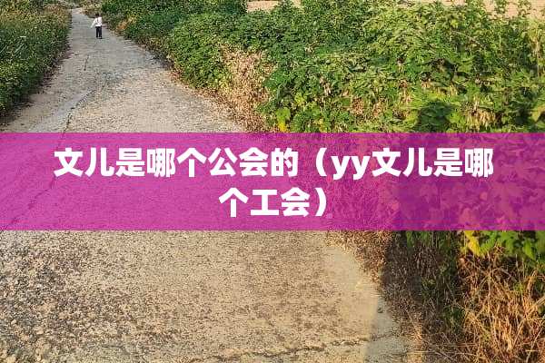 文儿是哪个公会的（yy文儿是哪个工会）