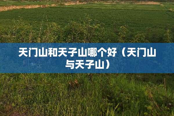 天门山和天子山哪个好（天门山与天子山）
