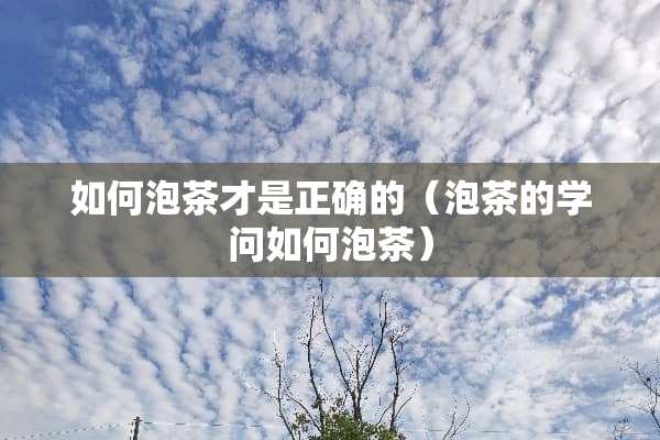如何泡茶才是正确的（泡茶的学问如何泡茶）